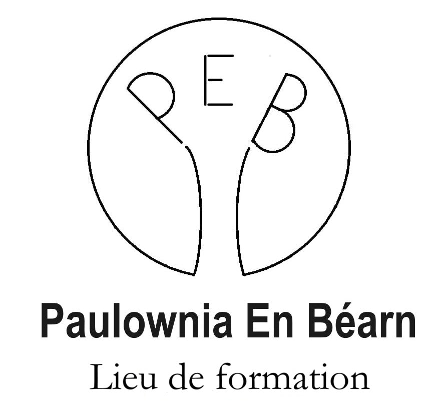 formation culture paulownia PEB