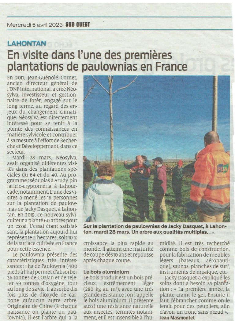 Article paru le 5 avril 2023 sur la découverte de la plantation de paulownias de Jacky Dasquet PEB